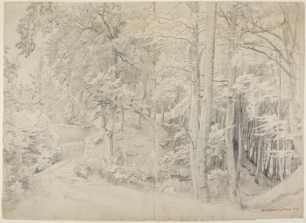 In the Beech Forest by Johann Wilhelm Schirmer