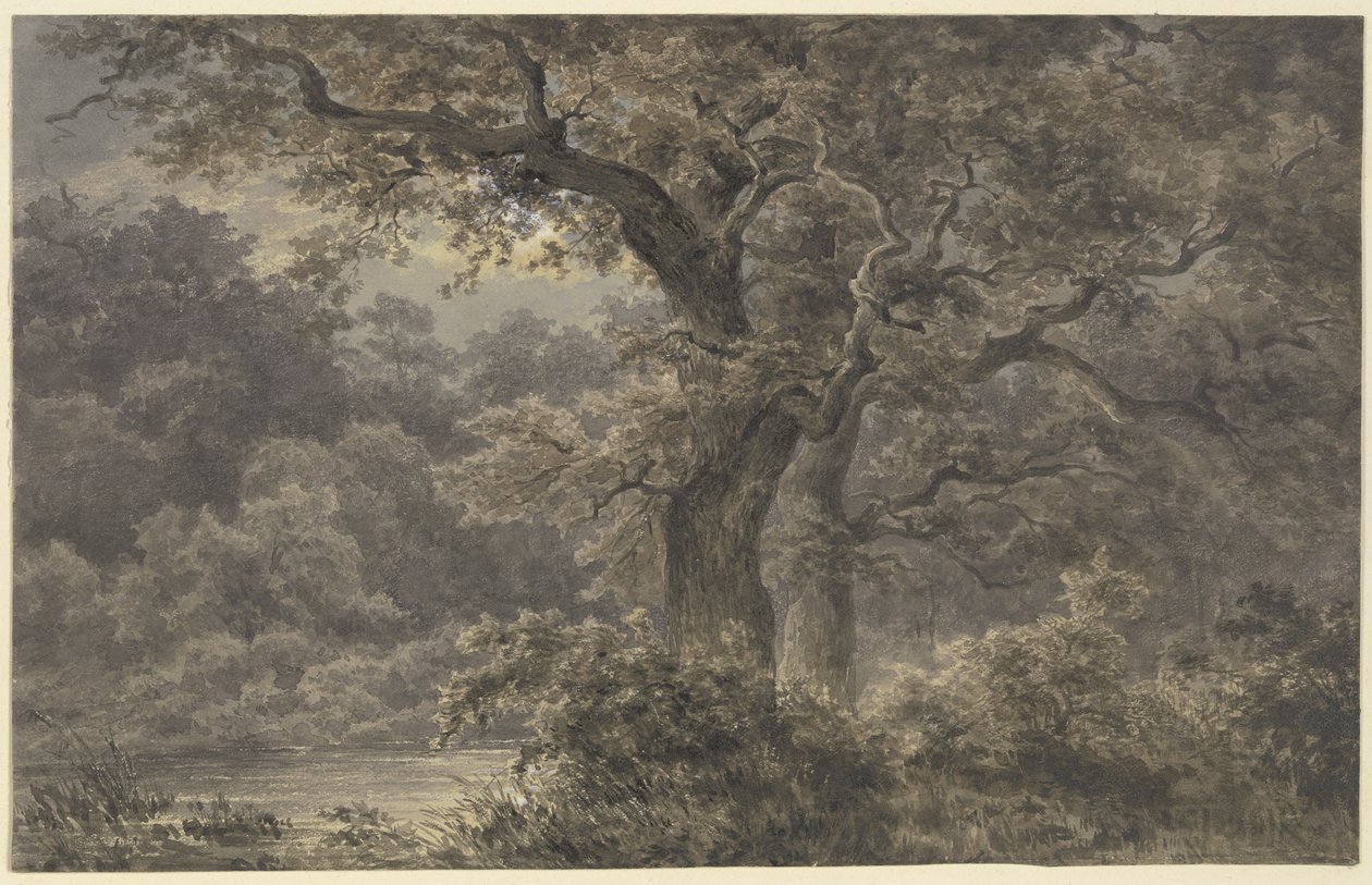Oak Trees in the Forest by Johann Wilhelm Schirmer