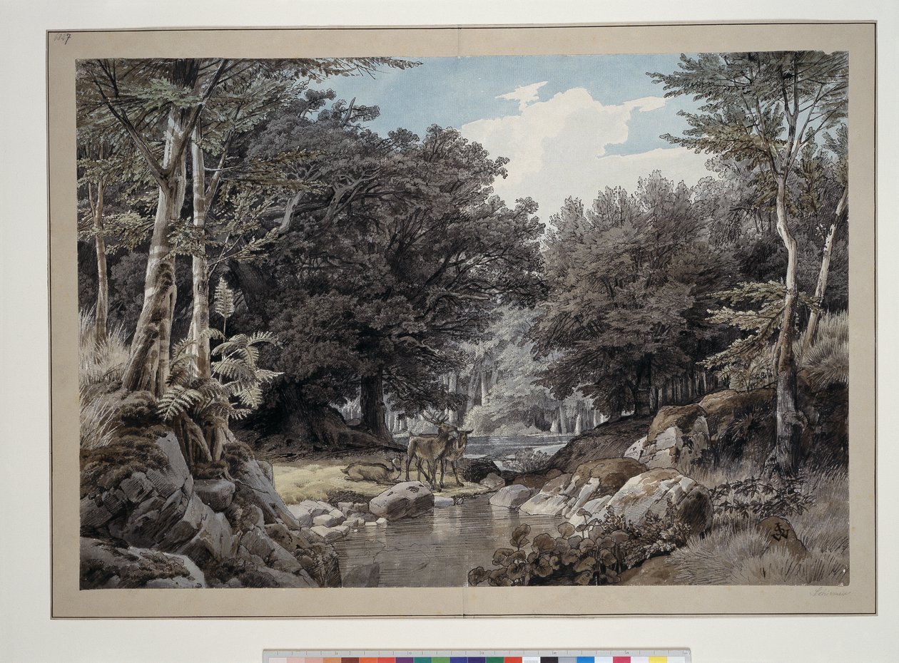 Forest Interior with Deer by the Water by Johann Wilhelm Schirmer