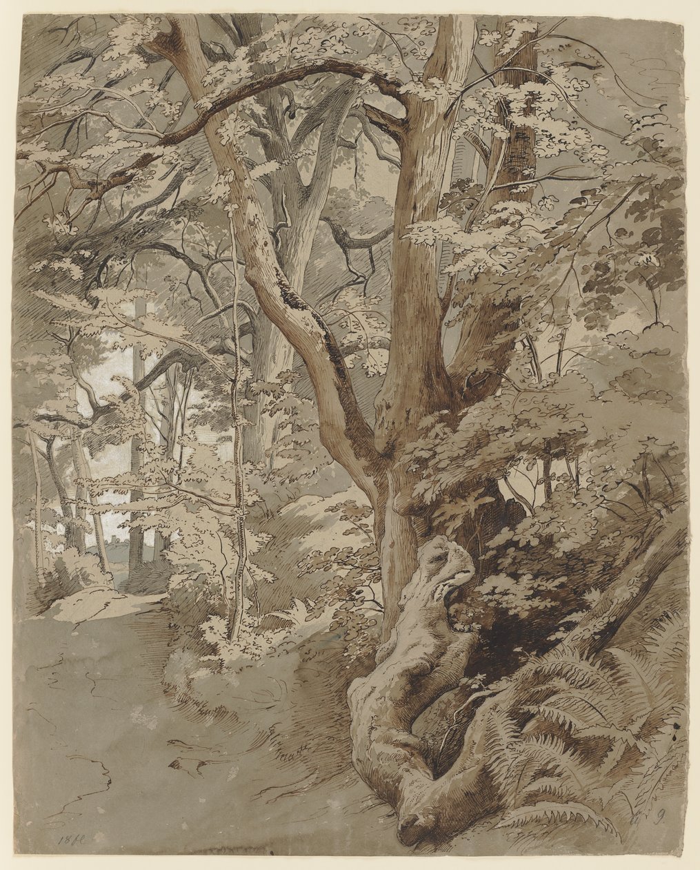 Forest Scene with an Oak and Fern by Johann Wilhelm Schirmer