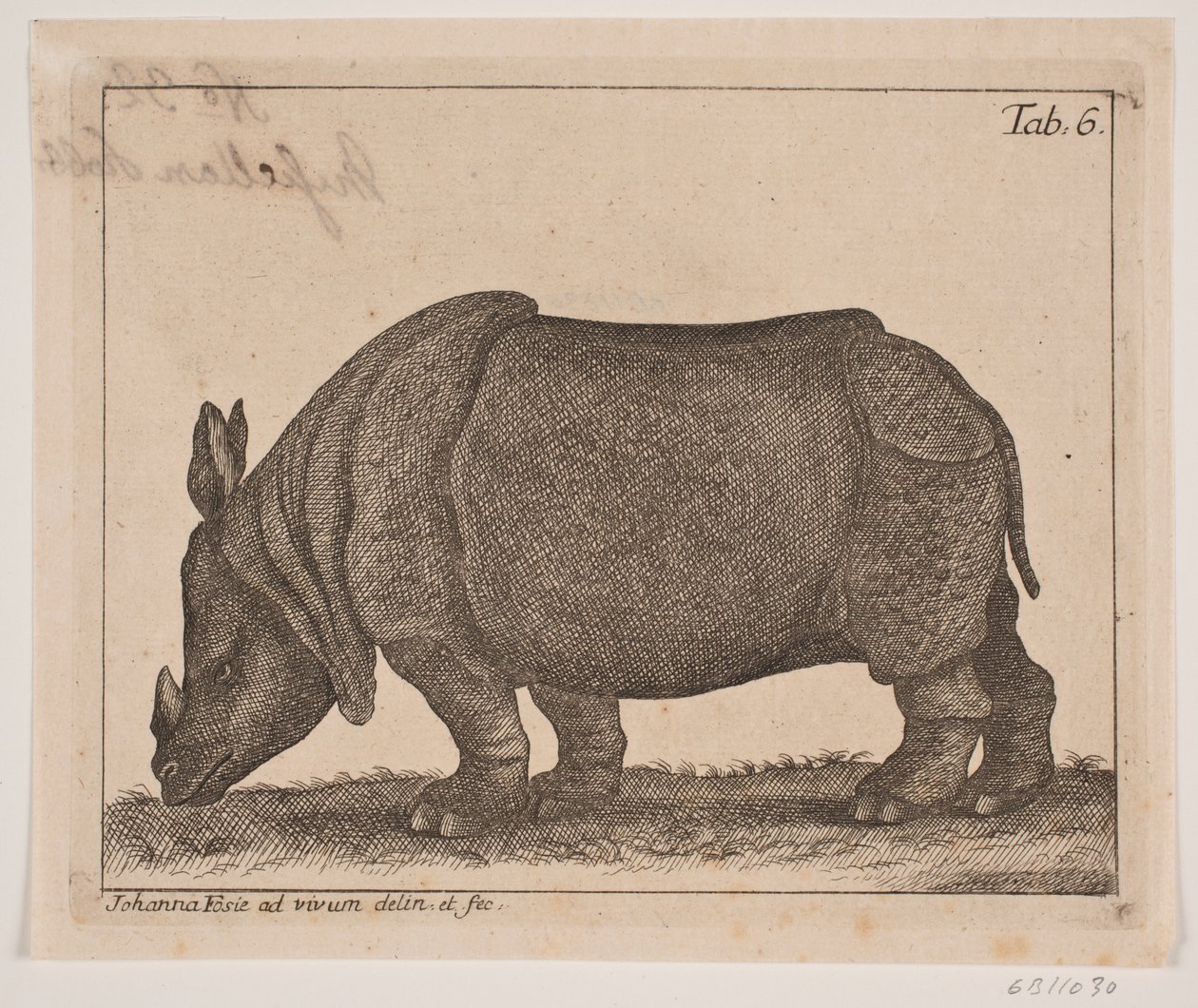 A Rhinoceros by Johanna Fosie