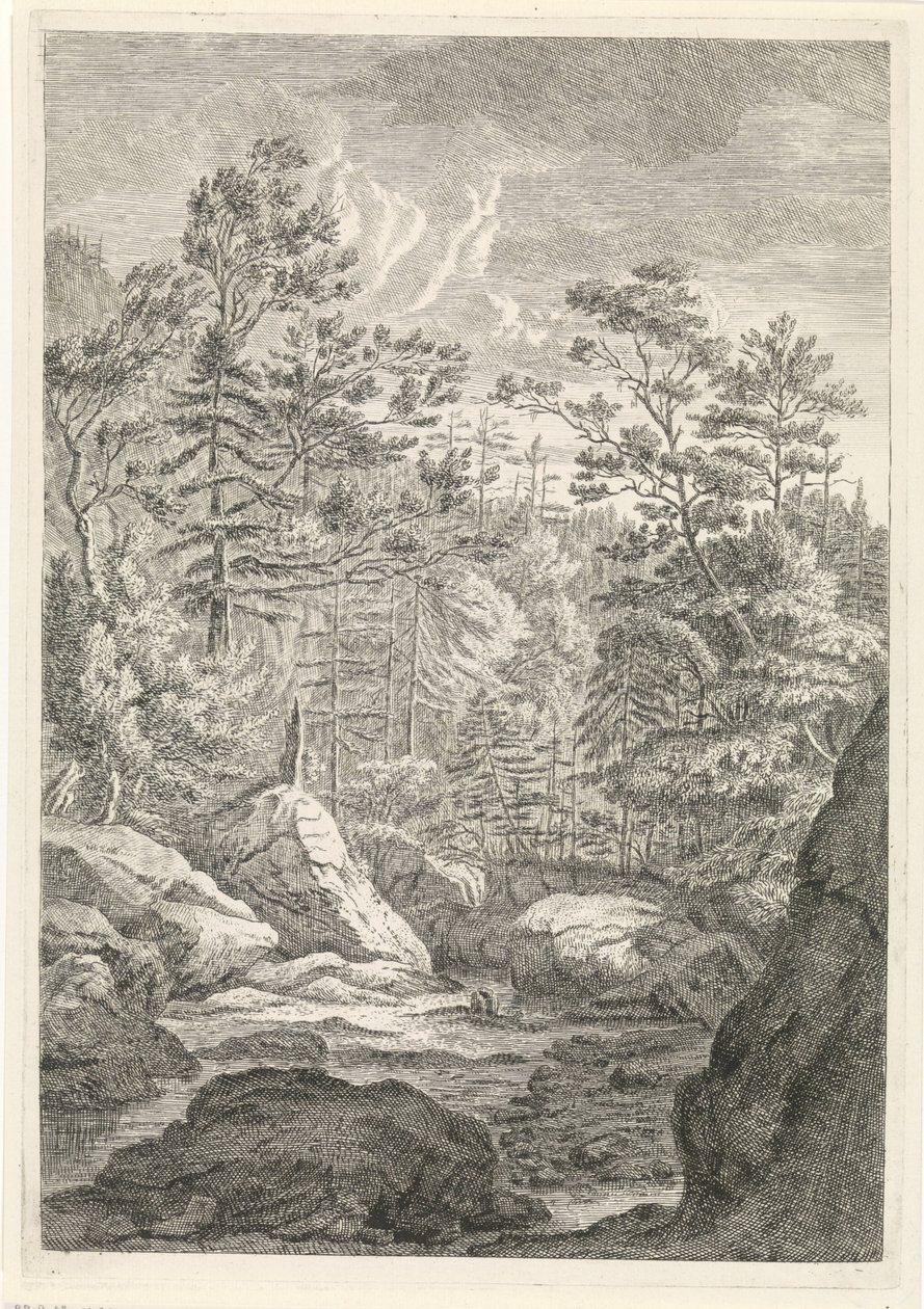Ravine with Trees and a Stream by Johannes Glauber