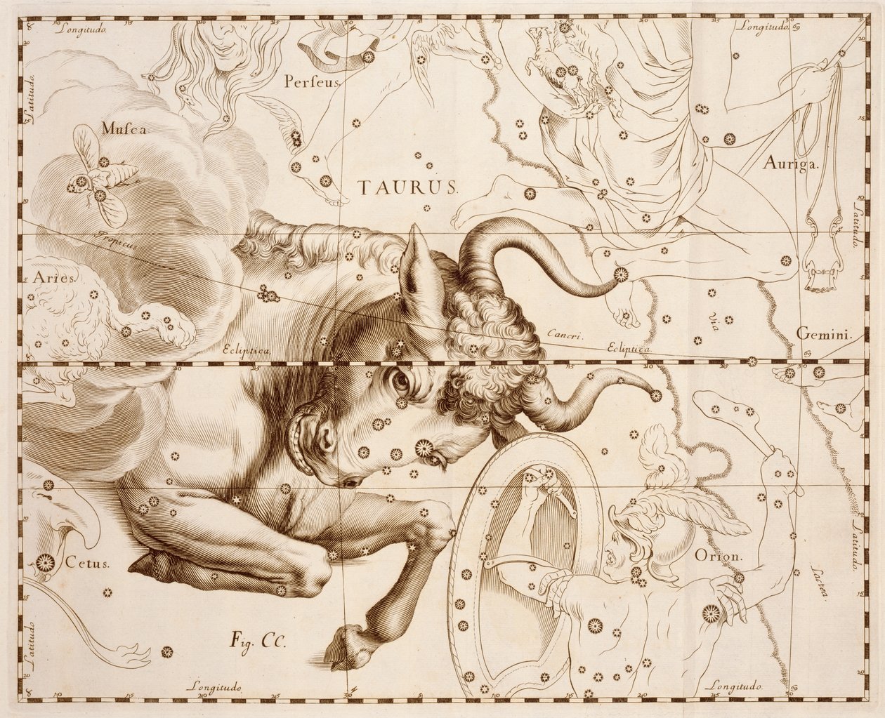 Taurus (zodiac sign), engraving from Firmamentum Sobiescianum sive Uranographia, Complete star catalogue, by Johann Hevelius, printed in Gdansk by Johannes Hevelius