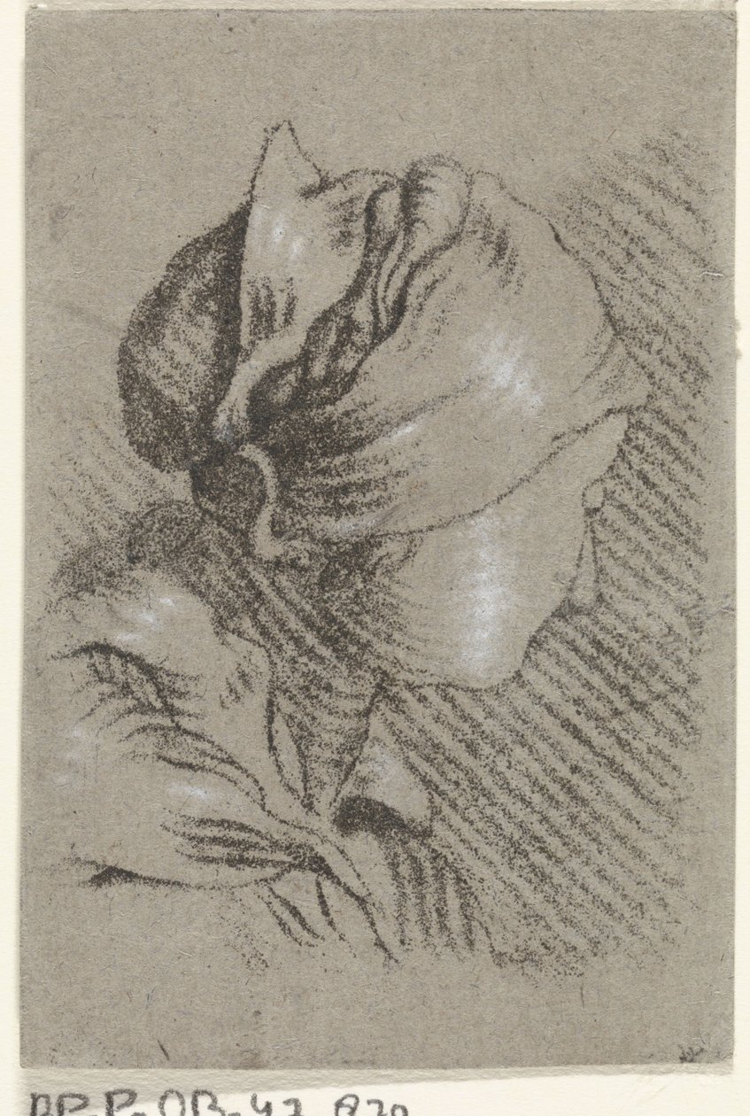 Bust of a Woman by Johannes Janson (possibly)
