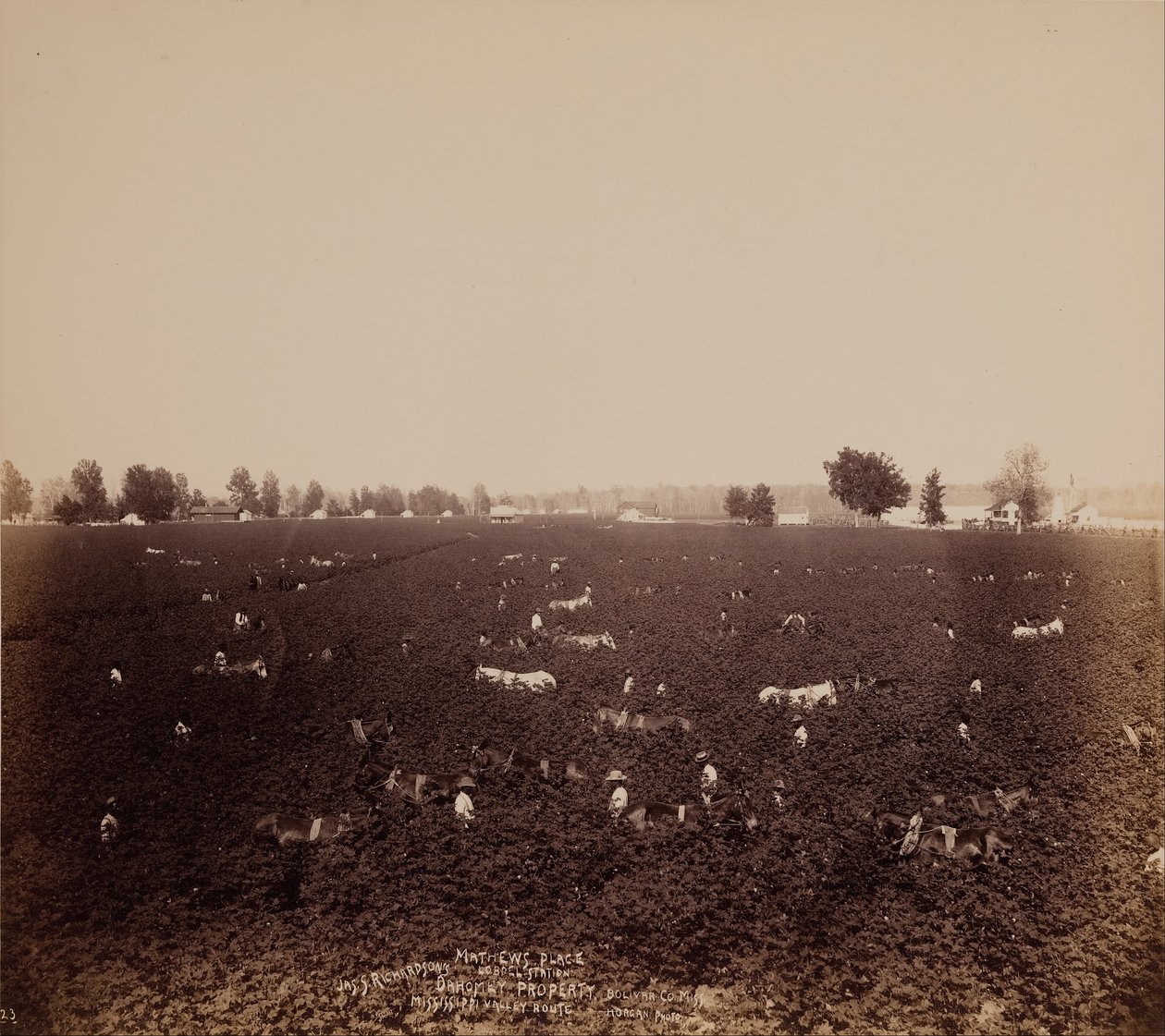 Mathews Place, Lobdel Station, Jas. S. Richardson