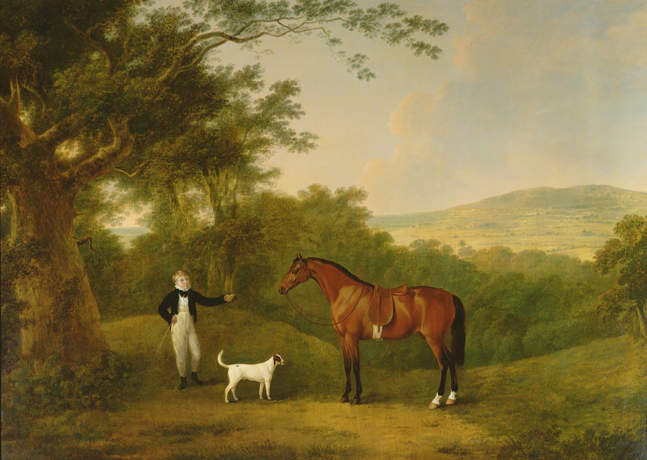Portrait of a Boy, a Terrier and a Chestnut Pony