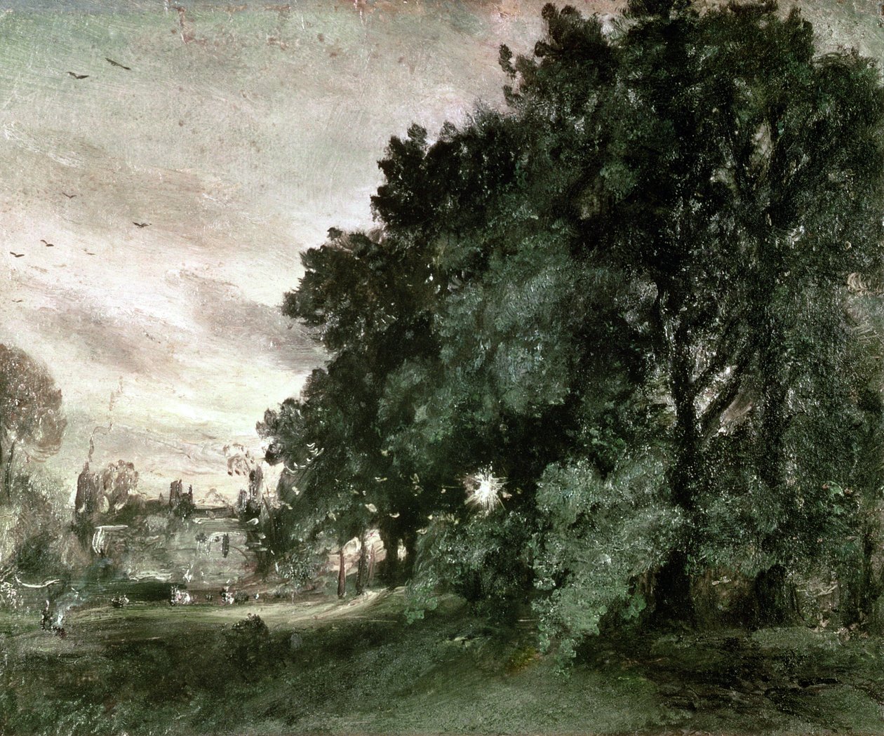 Study of Trees by John Constable