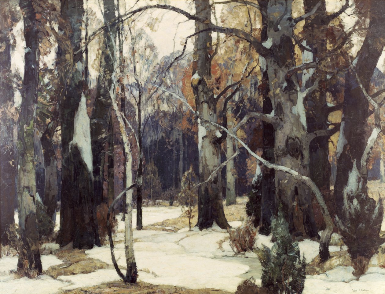 Forest Vistas by John Fabian Carlson