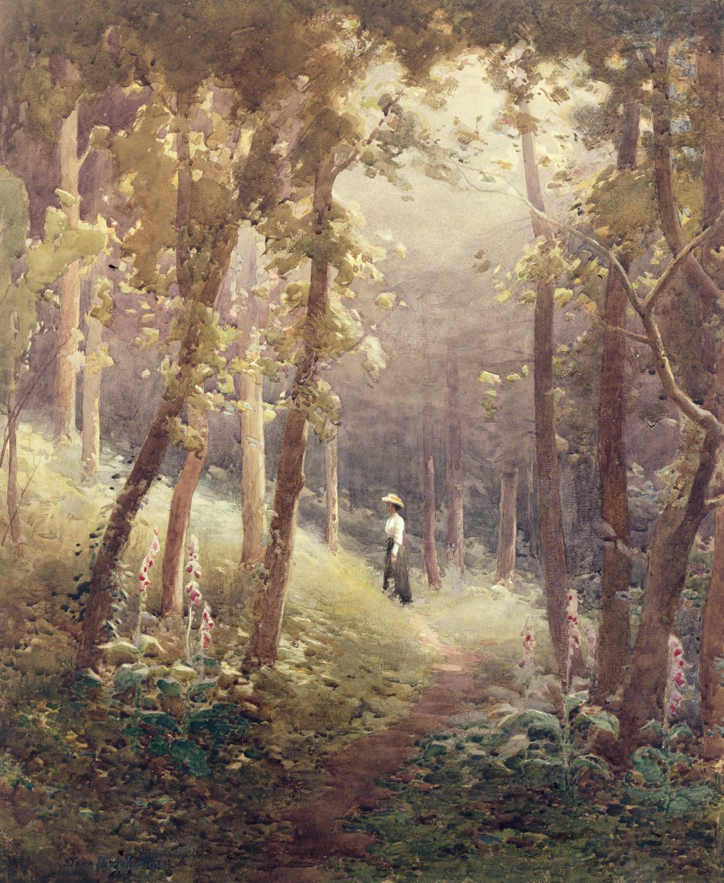 A Woodland Glade by John Farquharson