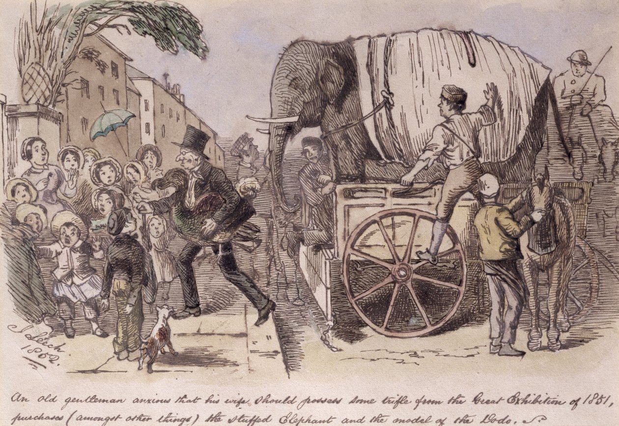 An old gentleman anxious that his wife should possess some trifle from the Great Exhibition of 1851, purchases (amongst other things) the stuffed elephant and the model of the dodo, drawn for Punch by John Leech