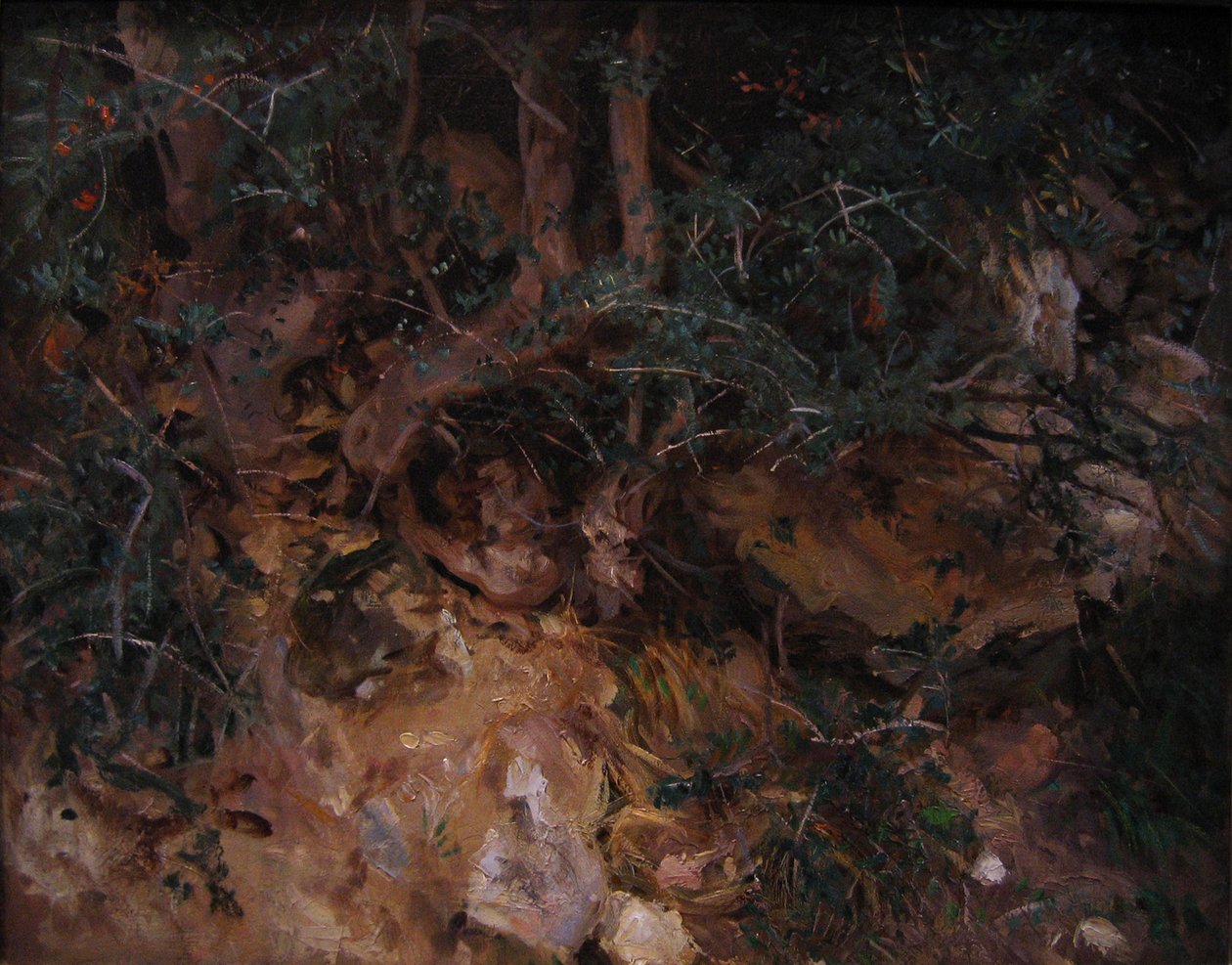 Valldemossa, Majorca: Thistles and Herbage on a Hillside by John Singer Sargent