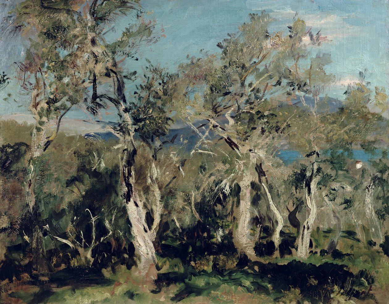 Olives, Corfu by John Singer Sargent
