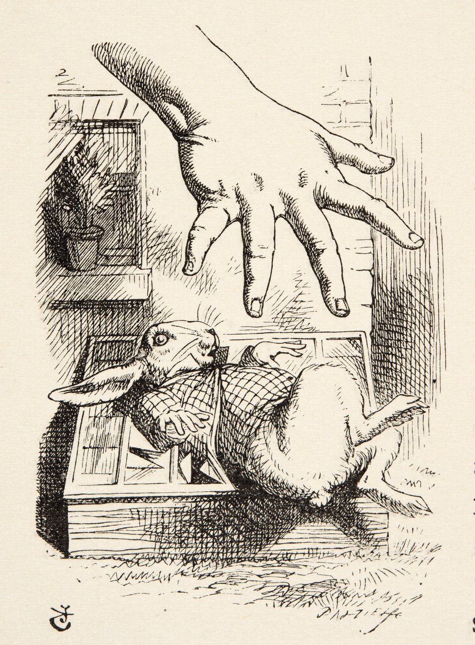 Alice Drops the White Rabbit, from Alice