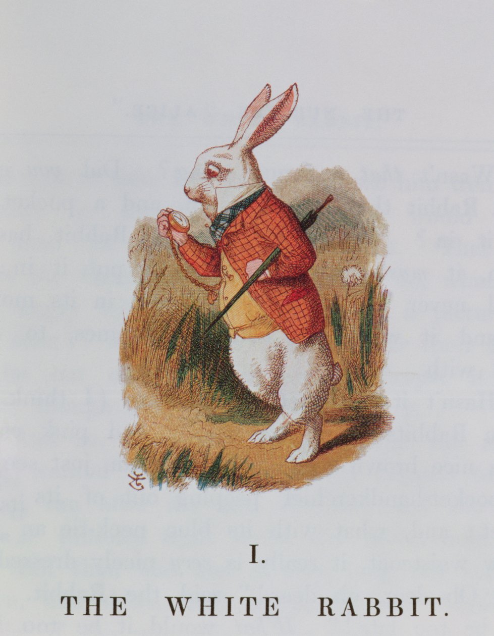 The White Rabbit, illustration from 