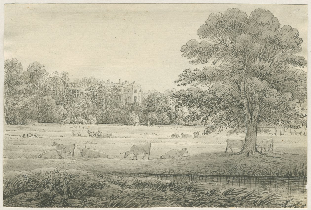 Hagley Hall by John Allport