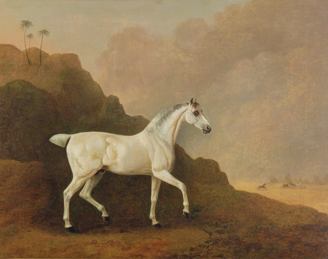 A Grey Arab Stallion in a Desert Landscape by John Boultbee