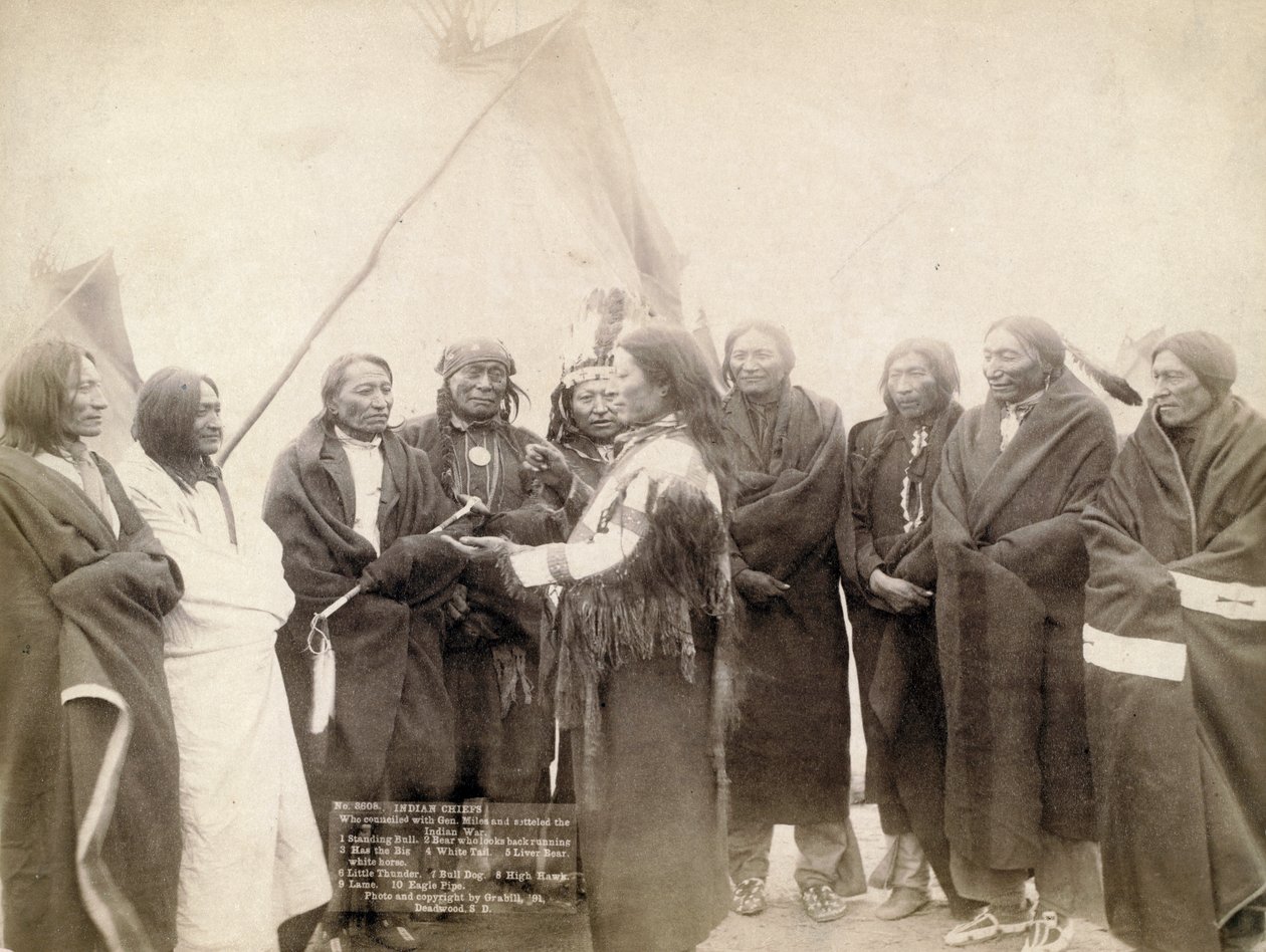 Indian chiefs at Deadwood, South Dakota, 1891 by John C. H. Grabill