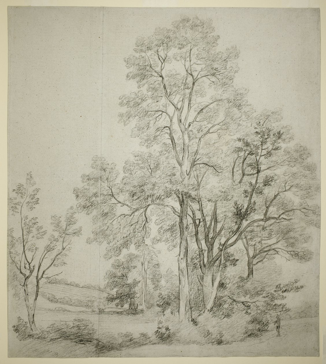 A Stand of Elm Trees (recto); A Study of East Bergholt with the Church (verso) by John Constable