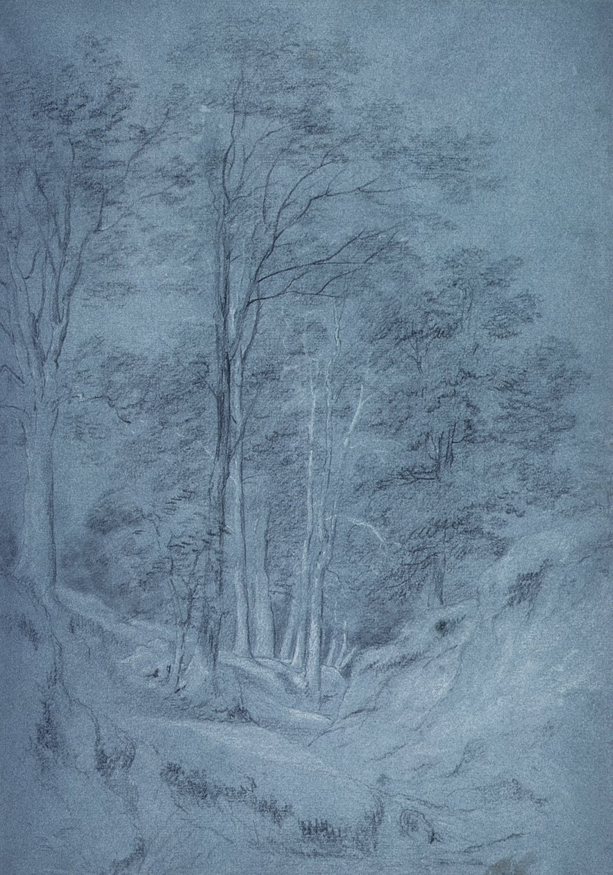 Study of ash and other trees by John Constable