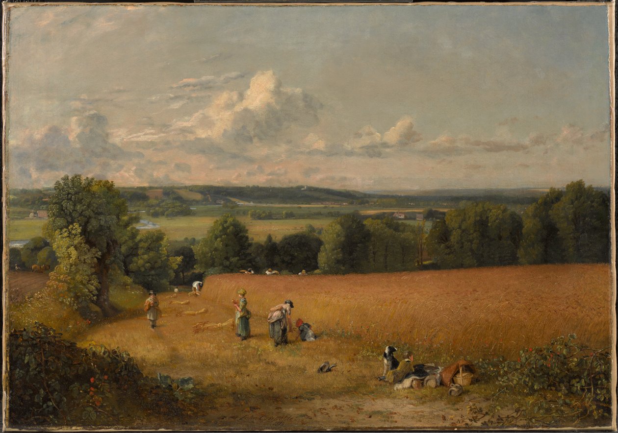 The Wheat Field by John Constable