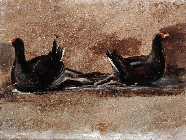 Two Moorhens on the Water by John Constable