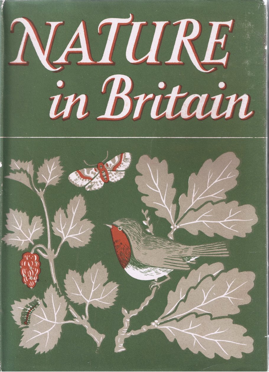 Study of Trees, Nature in Britain by John Crome