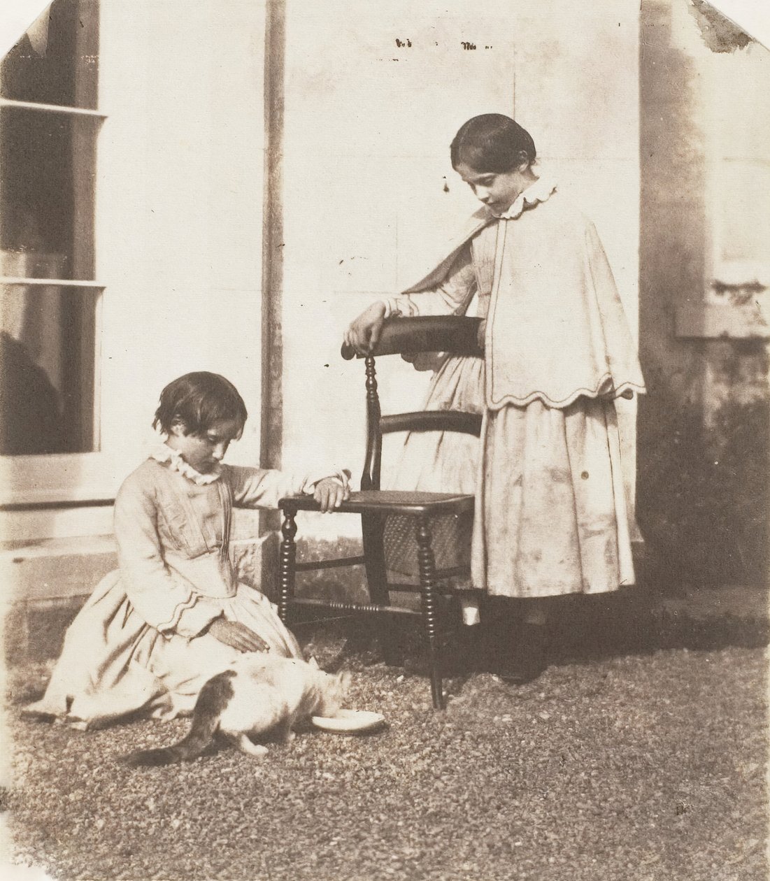 Feeding Poor Puss by John Dillwyn Llewelyn