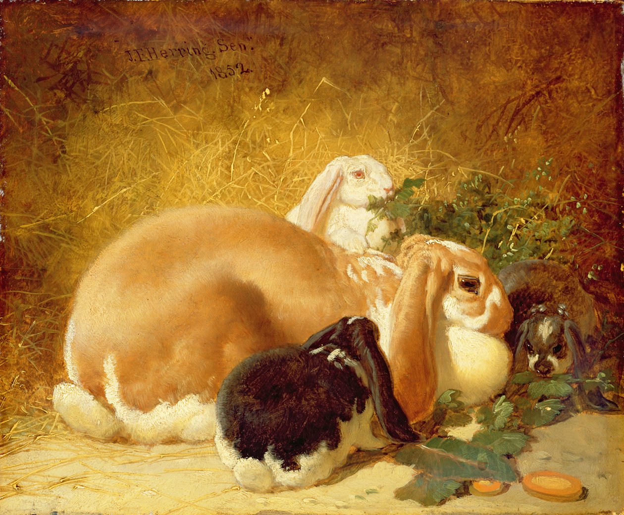 Rabbits, 1852 by John Frederick Herring Junior