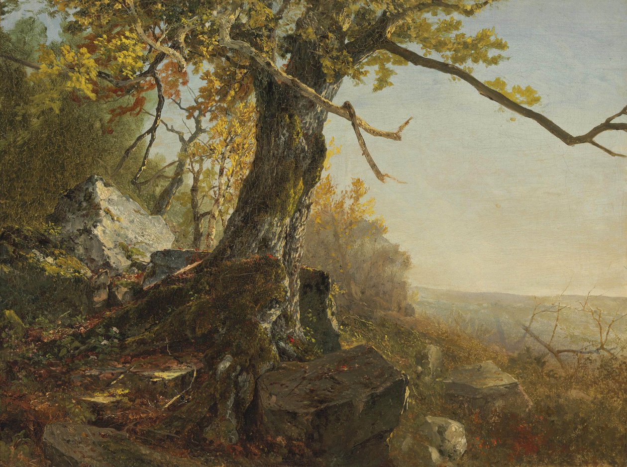 Tree in a Landscape by John Frederick Kensett