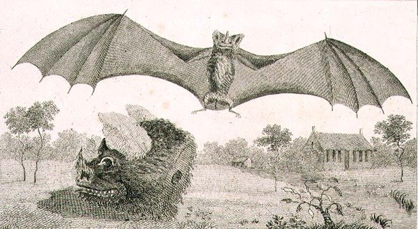 The Vampire or Spectre of Guiana by John Gabriel (after) Stedman