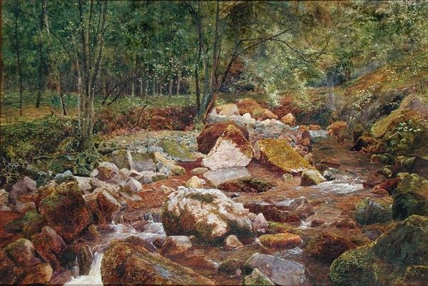 A Rocky Stream Overhung with Trees by John George Sowerby