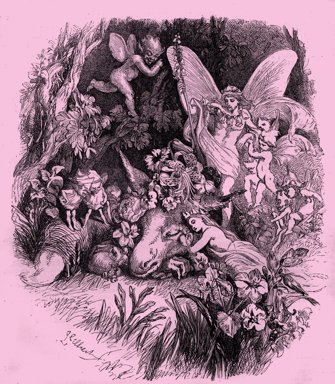 Titania and Bottom in A Midsummer Night