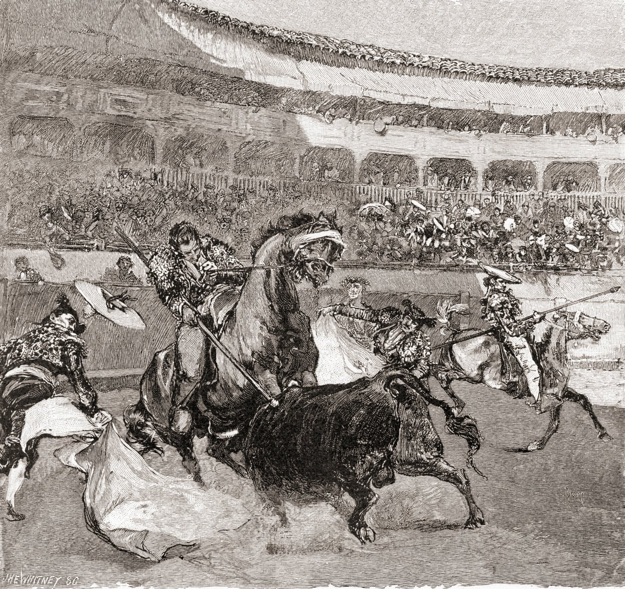 A bullfight in Seville, Spain, from The Century Illustrated Monthly Magazine, published 1884 by John Henry Ellsworth Whitney