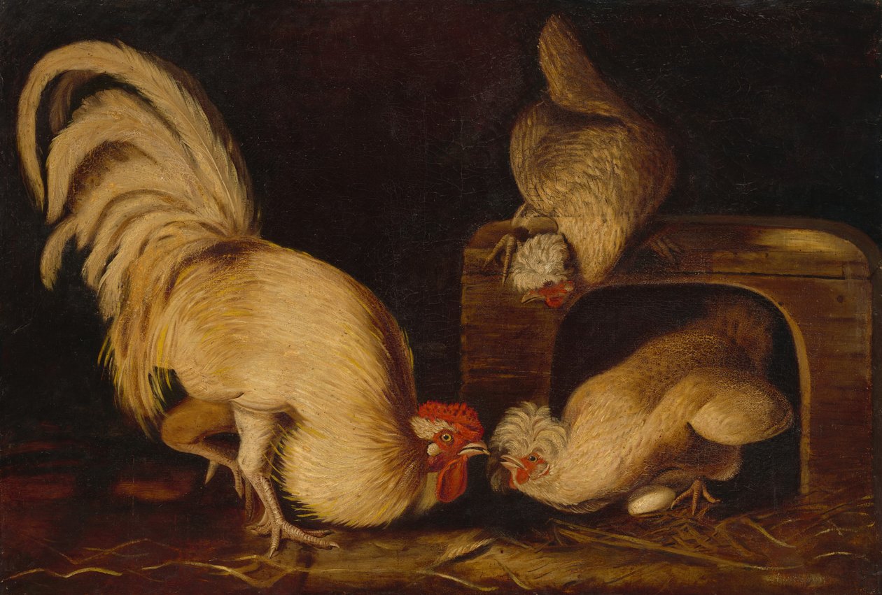 Farmyard Fowls, c.1827 by John James Audubon