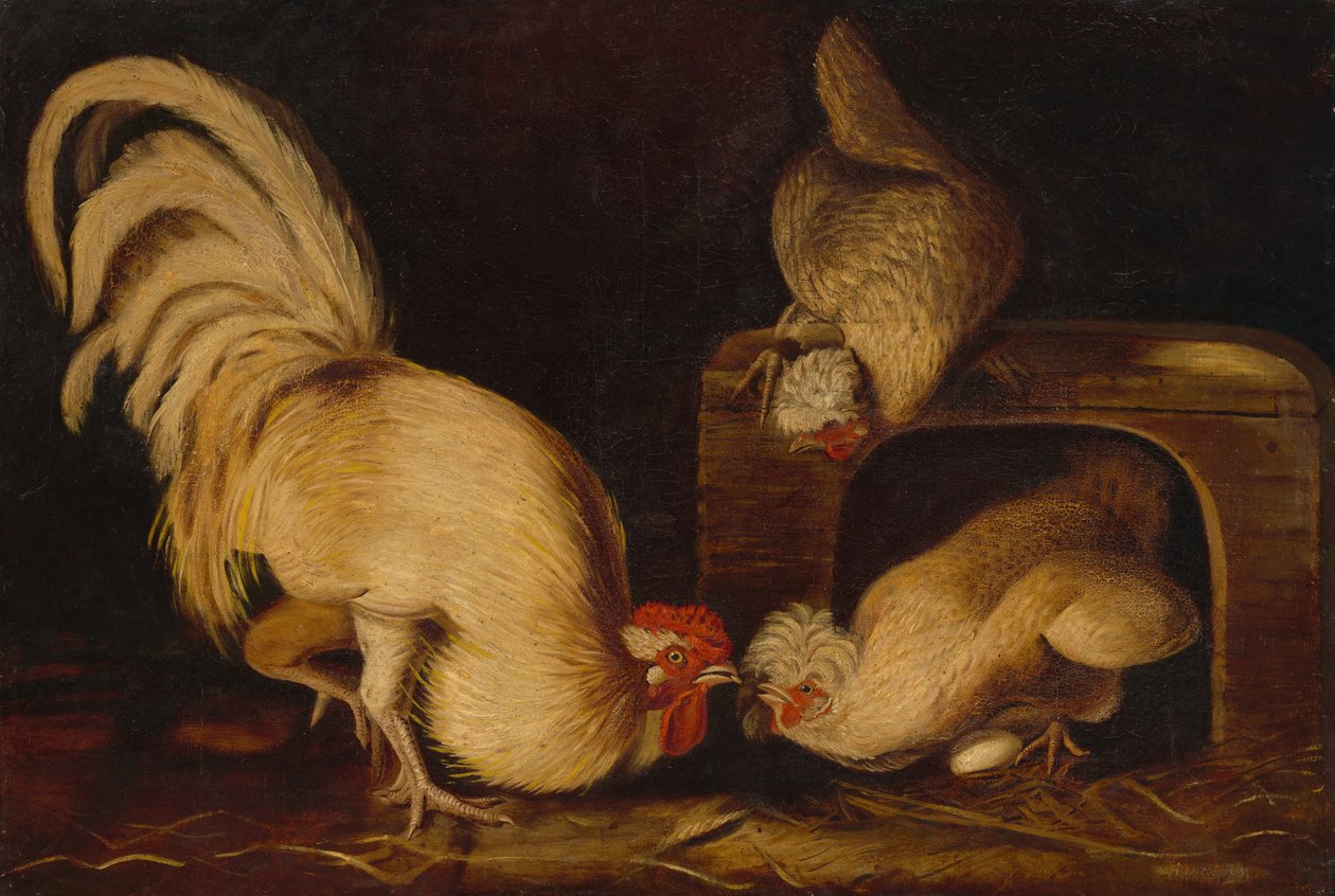 Farmyard Fowls, c. 1827 by John James Audubon