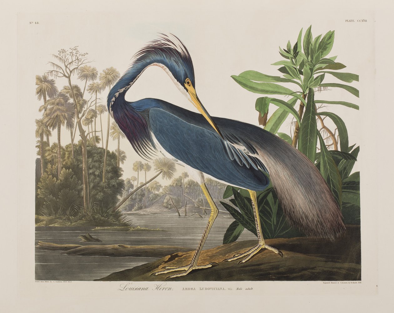 Illustration from 