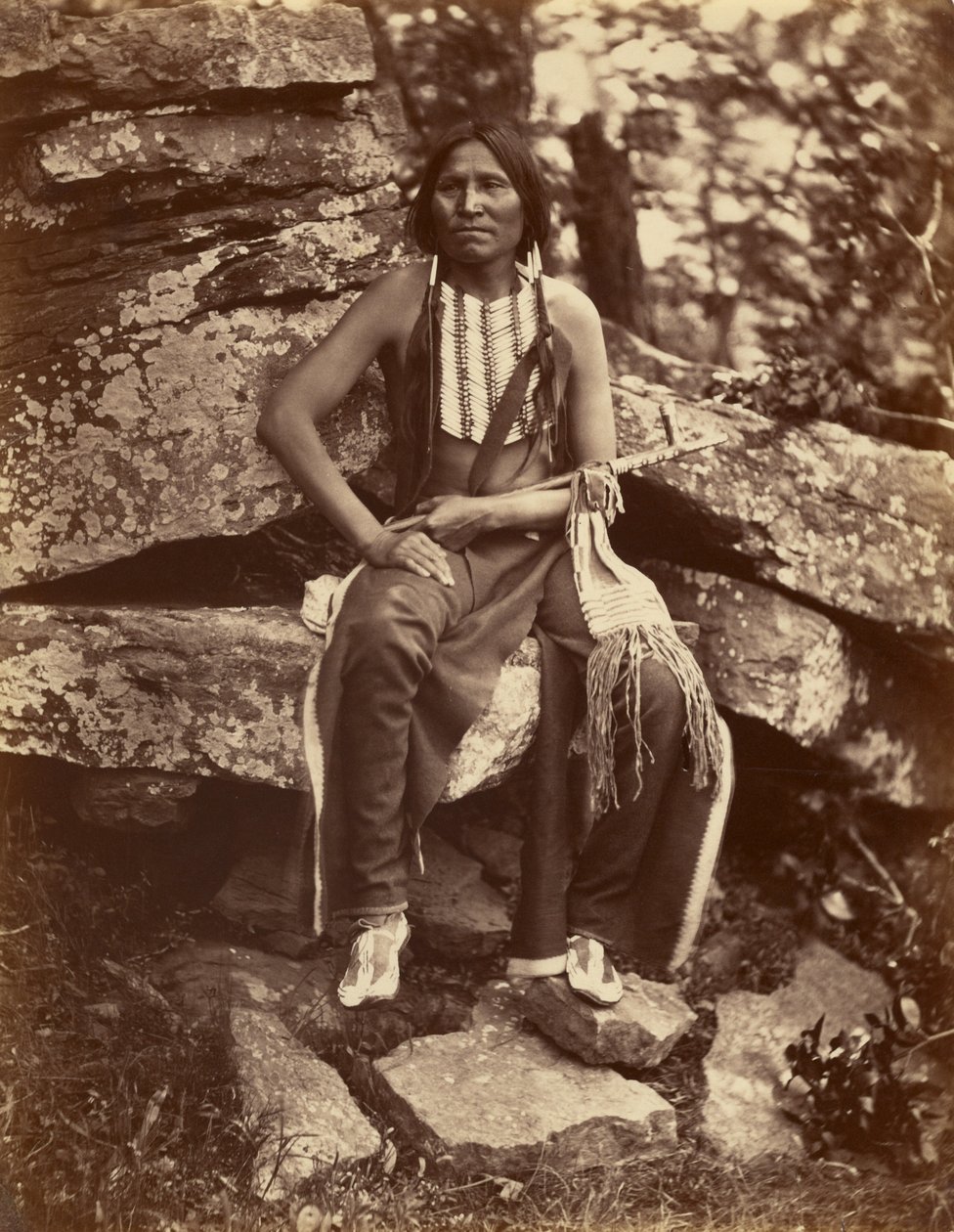 [Little Bear, Cheyenne] by John K. Hillers