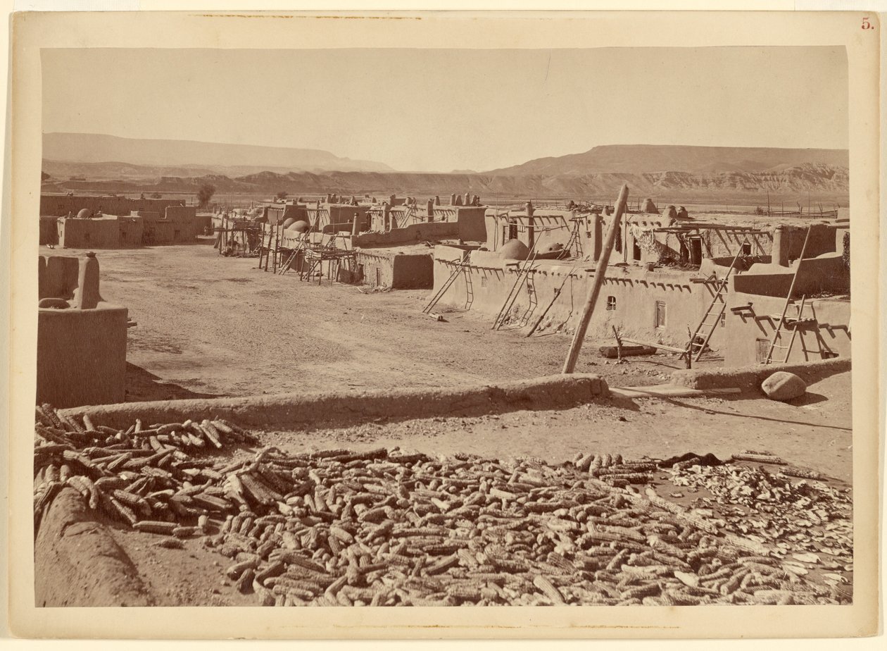 Pueblo of San Juan, New Mexico: North End of Town by John K. Hillers