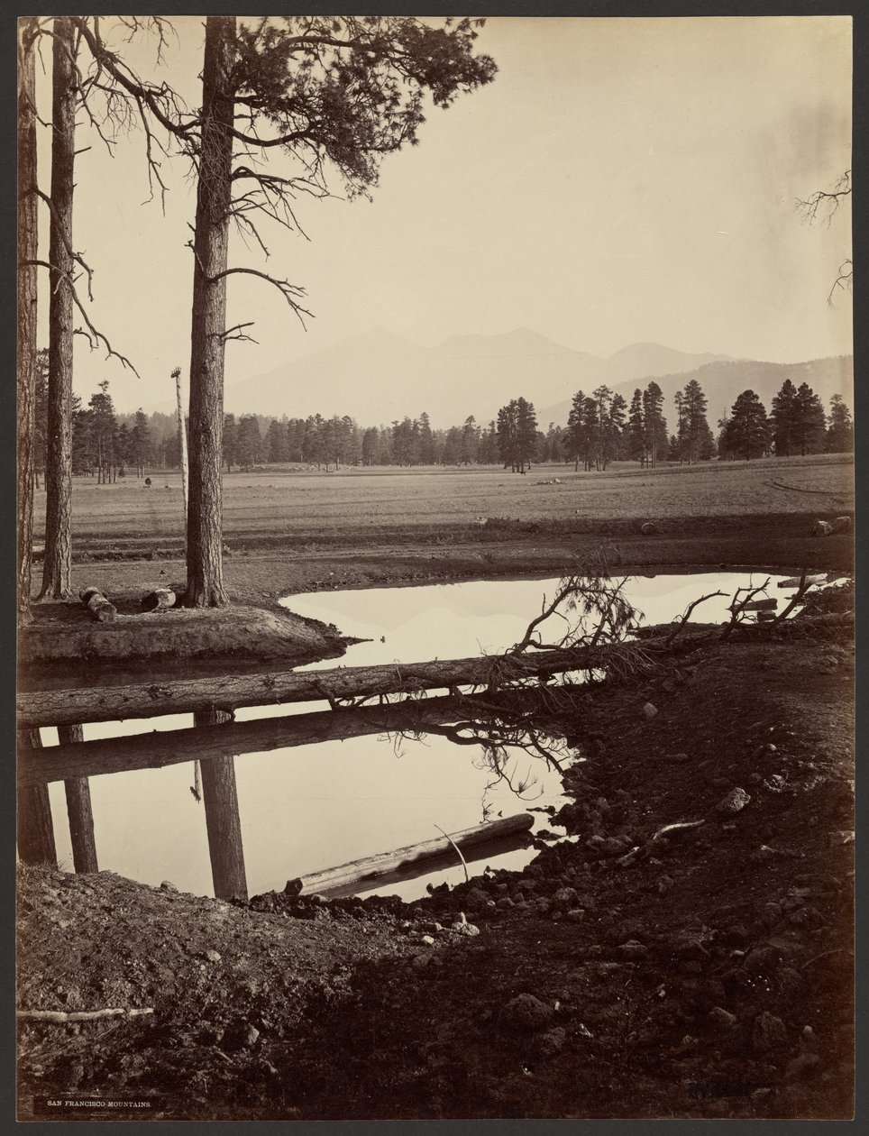 San Francisco Mountains, Arizona by John K. Hillers