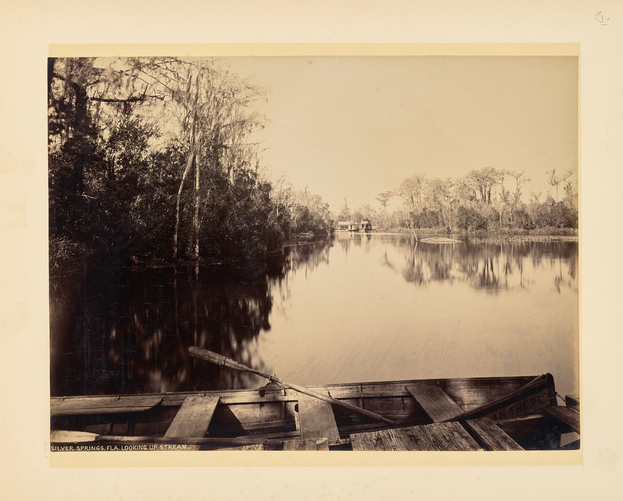 Silver Springs, Florida, Looking Upstream by John K. Hillers