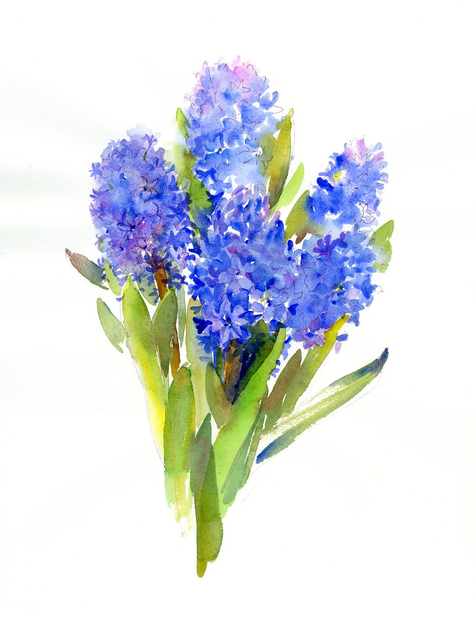 Blue Hyacinth, 2014 by John Keeling