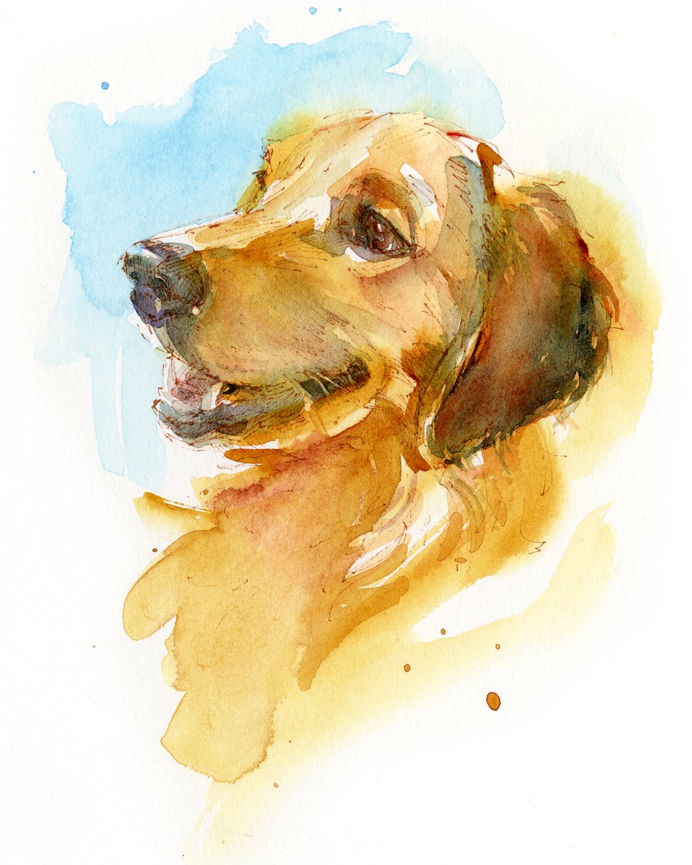 Golden Retriever, 2017 by John Keeling