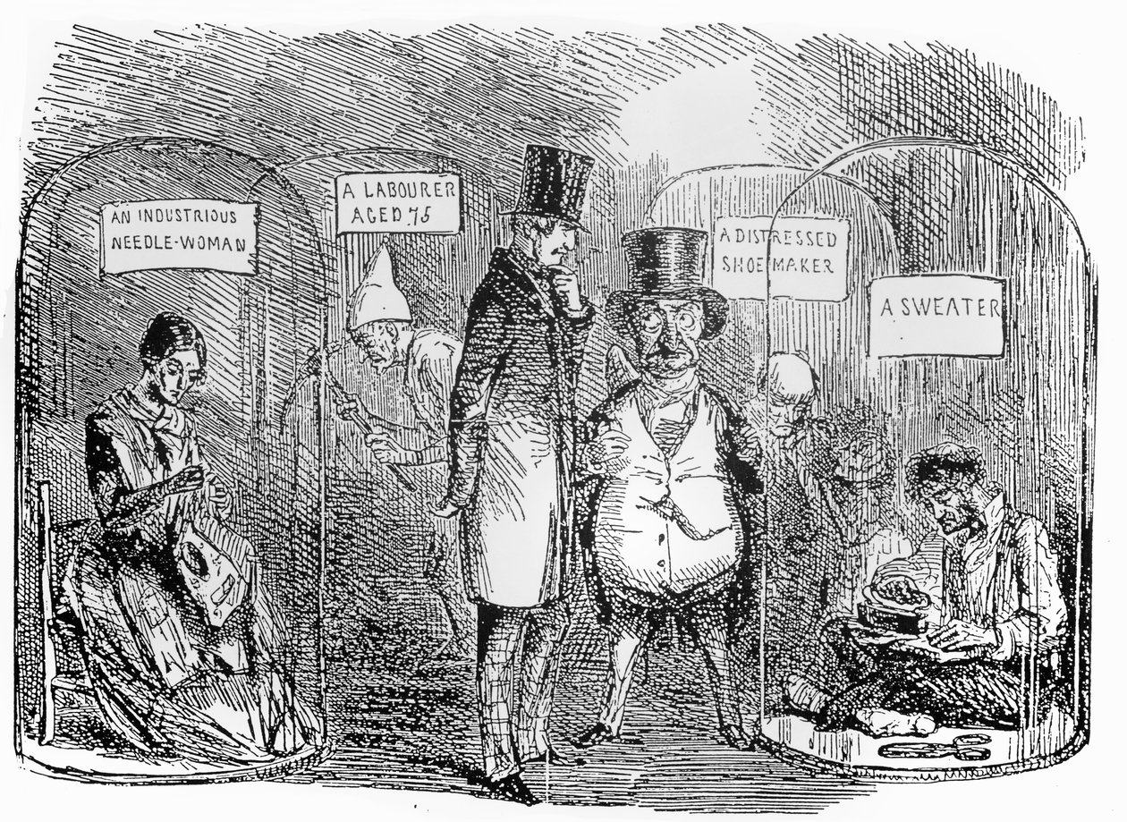 Specimens from Mr Punch