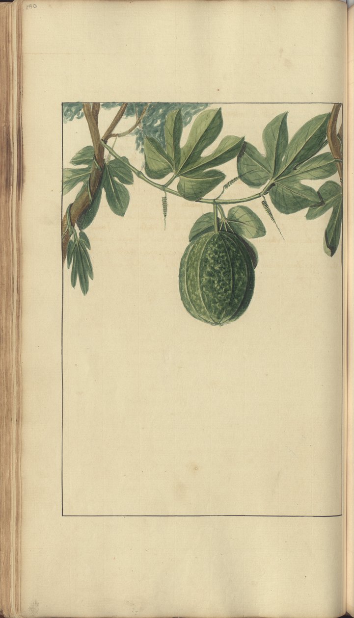 A page from the 