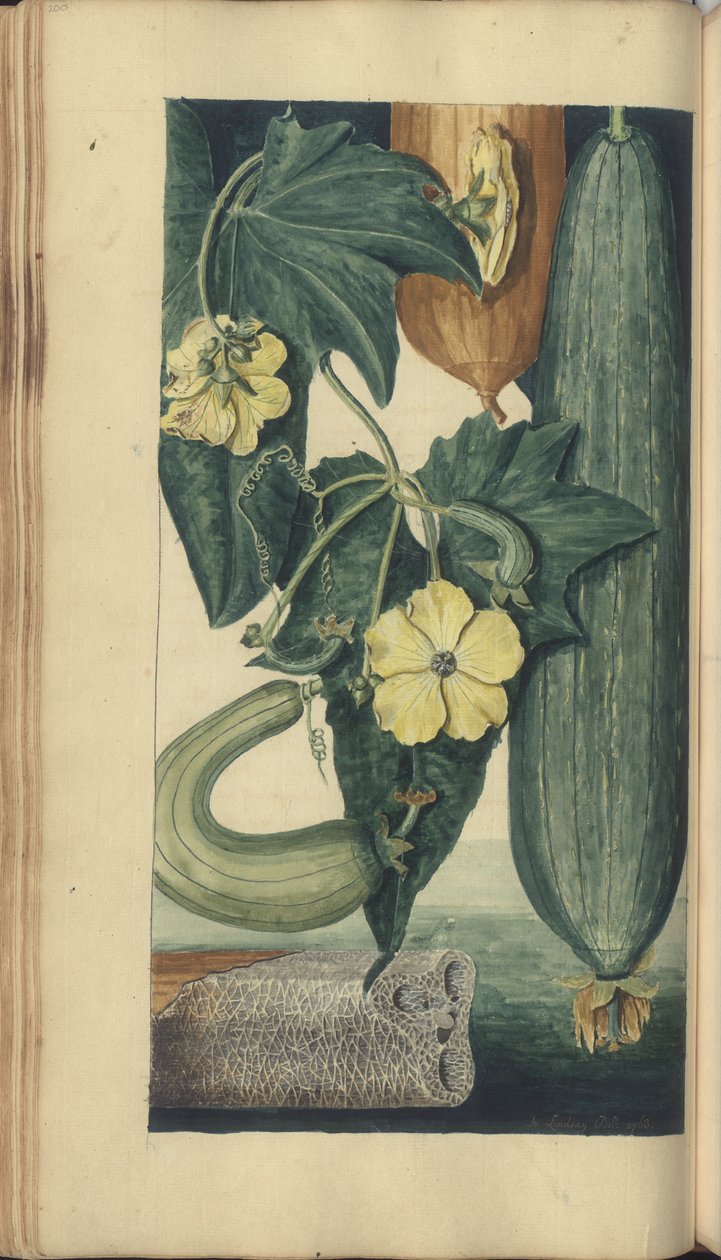 A page from the 