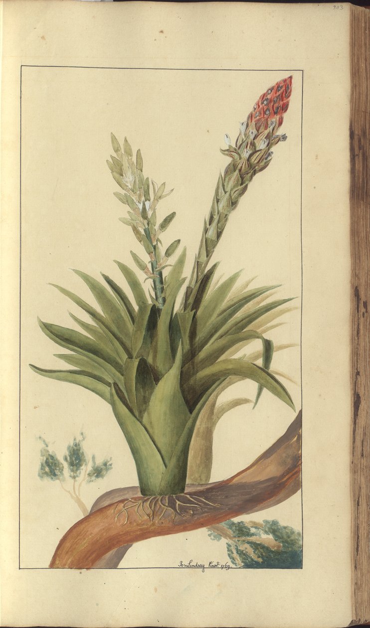 A page from the 
