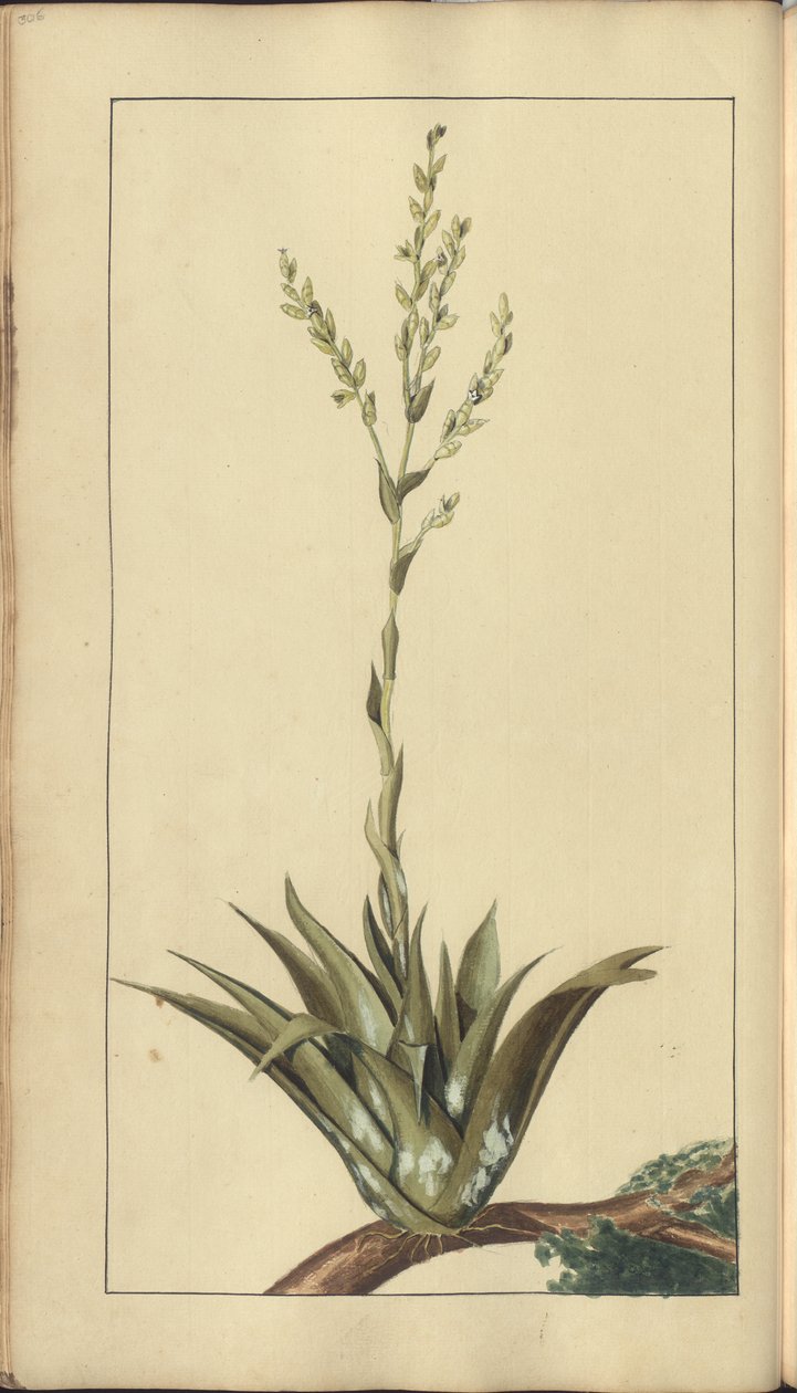 A page from the 