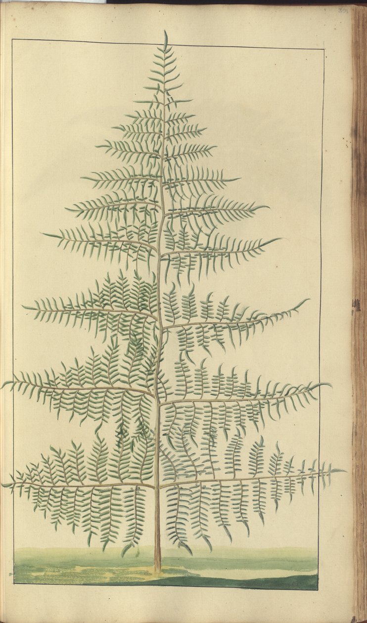 A page from the 