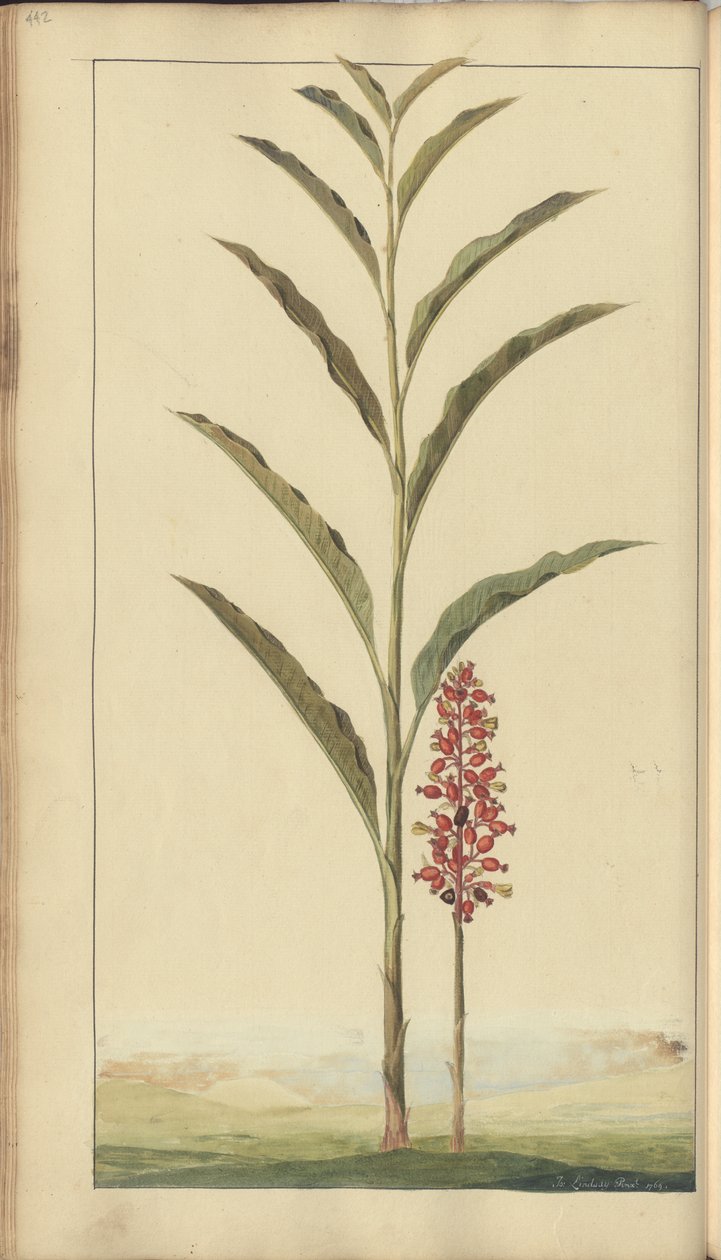 A page from the 