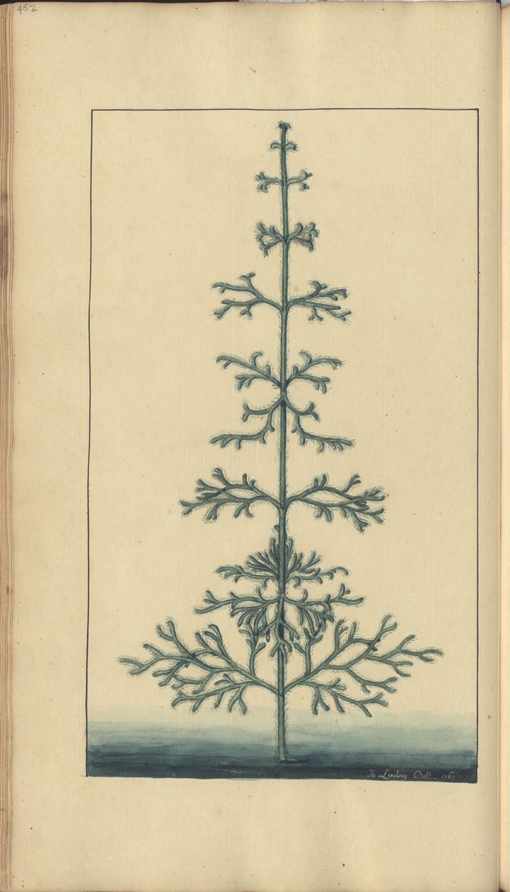 A Page from the 